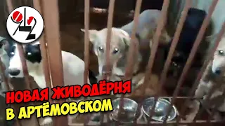 Новая живодёрня в Артёмовском