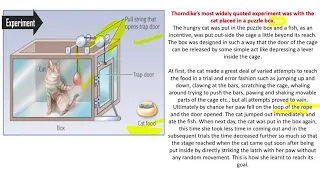 Thorndike Theory of Learning| Trial & Error| Law of Effect| Cat Experiment|थार्नडाइक थ्योरी