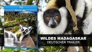 Wildes Madagaskar 3D - Die Insel der Lemuren (Deutscher Trailer) || KSM