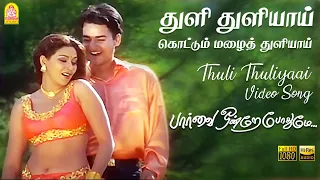 Thuli Thuliyaai Kottum Mazhai - Video Song | Paarvai Ondre Pothume | Kunal | Monal | Bharani