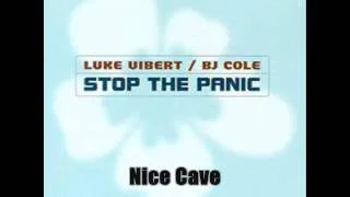 Luke Vibert & BJ Cole - Nice Cave