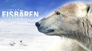 Unter Eisbären - Trailer [HD] Deutsch / German