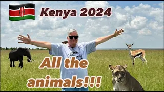 Safaris In Kenya Show you ALL the Animals!