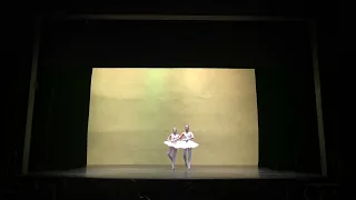 Salto Dance Company - Pizzicato Duet from Sylvia