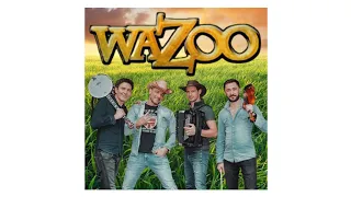 Concert de Wazoo (live audio) | LPR