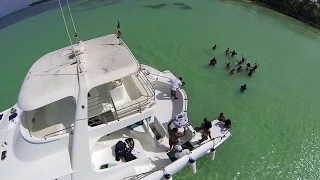 Saona Island Private Catamaran | Punta Cana Yachts