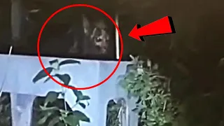 10 Scary Videos That’ll Make You DROP Your Phone