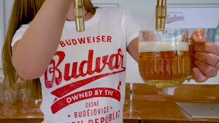 Pouring the perfect Budweiser Budvar at the Berlin Beer Week 2022