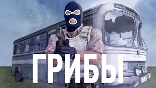 грибы-тает лед пародия cs:go