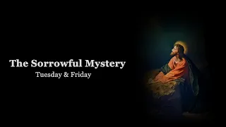 The Holy Rosary: Sorrowful Mysteries with Litany (Tuesday & Friday)