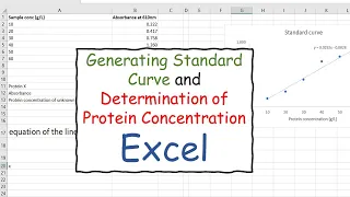 Generating Standard Curve and Determination of Protein Concentration in Excel