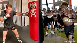 CANELO VS JERMELL CHARLO SIDE BY SIDE TRAINING FOOTAGE - SPEED, POWER, AND TECHNIQUE