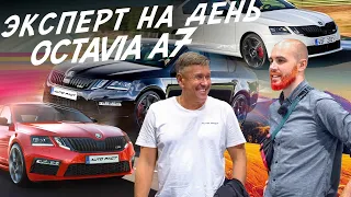 НАЙТИ ЗА ДЕНЬ ЖИВУЮ SKODA OCTAVIA A7! АВТОПОДБОР #autofact