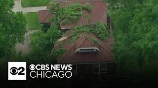 Microburst takes down trees in Chicago area