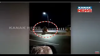 Damdar Khabar: Drunk Couple Riding Scooter With High Speed In Wrong Route In Bhubaneswar