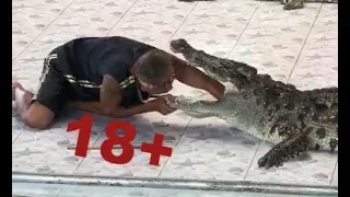 18+Crocodile takes a bite out of trainer’s arm in Thailand.