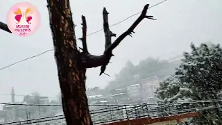 Live Snow ❄️ fall / Solan/ Himachal Pradesh