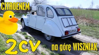 Złomnik: Citroen 2CV to motoryzacyjny hipis