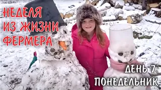 Микро ГЭС, не ухоженный двор...Понедельник - день седьмой! (Неделя на ферме Мечты!! Осень 2023)