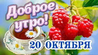 Доброго утра и ещё лучшего дня! ❤️ Доброго утречка Вам! 👌Самые теплые пожелания с Добрым утром! 🎀