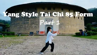 Yang Style Tai Chi 85 Form  Part 1（Step 1 - 14）杨氏85式太极拳