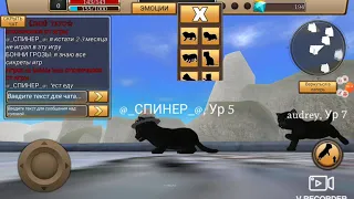 Играем в игру симулятор кота жизнь животных