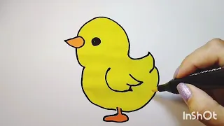 Chick. How to draw a chicken. Цыпленок. Как нарисовать цыплёнка.