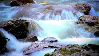 3 Hours Nature Sounds Relaxation-Sound of Waterfall-Relaxing Meditation Sounds-Bird Song Calming