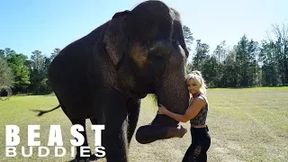 My Best Friend Is An Elephant | BEAST BUDDIES