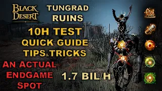 BDO | Tungrad Ruins - 10H Hour Test | My Thoughts | Quick Guide - Tips & Tricks |