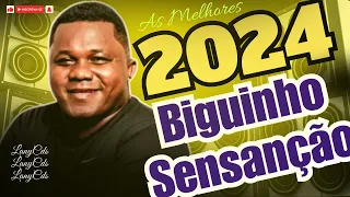 BIGUINHO SENSAÇÃO CD COMPLETO 2024, BIGUINHO SENSAÇÃO FICA COMIGO, BIGUINHO SENSAÇÃO MEU XODÓ