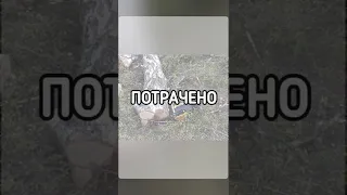 В хлам РАЗБИЛ пилу. Ошибка. Arboristfails