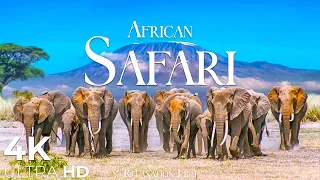 African Safari 4K • Wildlife Relaxation Film with Peaceful Relaxing Music and Animals Video Ultra HD