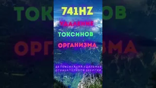 741HZ Удаление токсинов организма,усталости востанавливает клетки,детоксикация отрицательной энергии