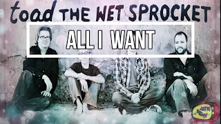 ALL I WANT  Toad the Wet Sprocket (LYRICS) [HD]