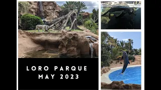 Loro Parque: Tenerife 2023