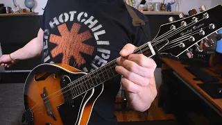 Red Hot Chili Peppers - Can't Stop (Mandolin Cover)