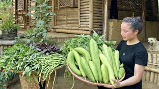 Harvesting fragrant melon, bean chopsticks, and red amaranth to bring to the highland market to sell