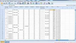 X Binary Logistic Regression 9 / Бинарная логистическая регрессия 9