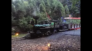 Ride the Stanley Park Miniature Train