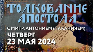 Четверг, 23 мая 2024 года. Толкование Апостола с митр. Антонием (Паканичем).