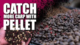 Catch MORE Carp with These Top Pellet Tips!