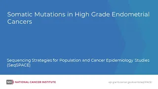 Somatic Mutations in High Grade Endometrial Cancers