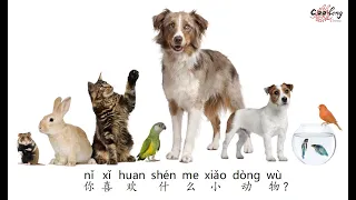 【宠物歌】Song - What pet do you like？| 你喜欢什么小动物？| Chinese pet song with Pinyin 中文+拼音