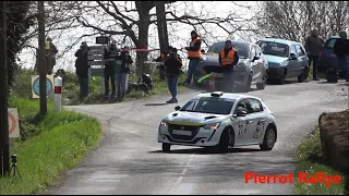 Rallye des Vignes de Régnié 2024 -Mistakes [HD] - Pierrot Rallye