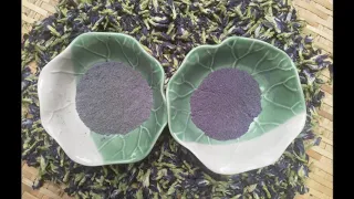 Butterfly Pea flower powder | the real color unveiled