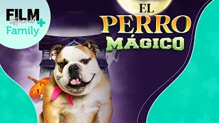 El Perro Mágico// Película Completa Doblada // Familia // Film Plus Family Español