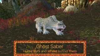Ghost Saber - Hunter Pets - Where to find it in World of Warcraft - ep 31