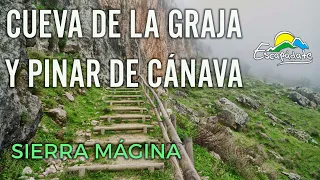 SIERRA MAGINA, Cueva de la Graja y Pinar de Cánava en JIMENA