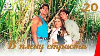 В ПЛЕНУ СТРАСТИ / Cañaveral de pasiones (20 серия) (1997) сериал